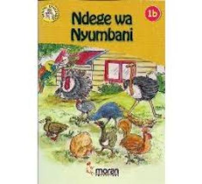 Ndege Wa Nyumbani 1B